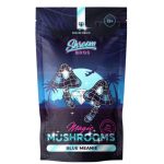 Leucistic Golden Teacher Magic Mushrooms