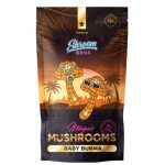 Magic Mushroom Tea – Organic Black Chai Tea