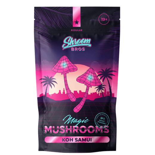Koh Samui Magic Mushroom