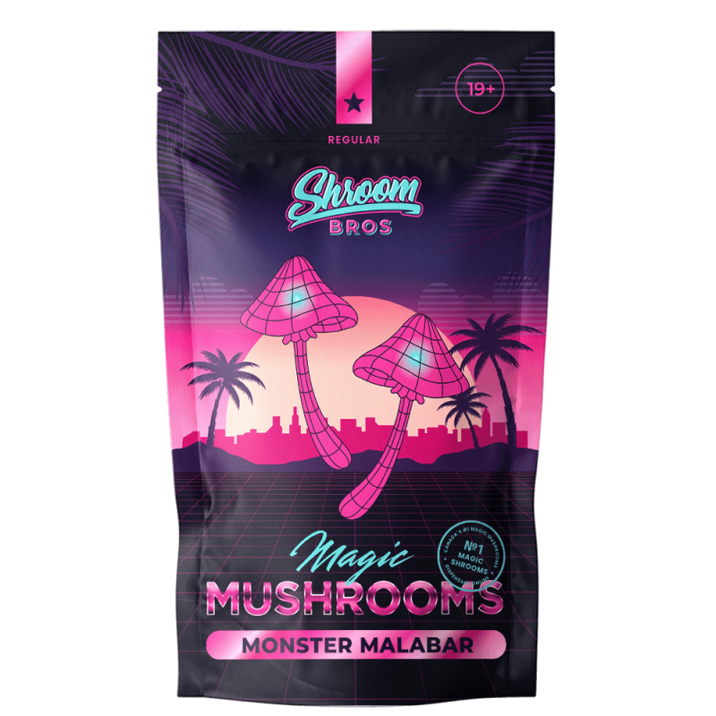 Monster Malabar Magic Mushroom
